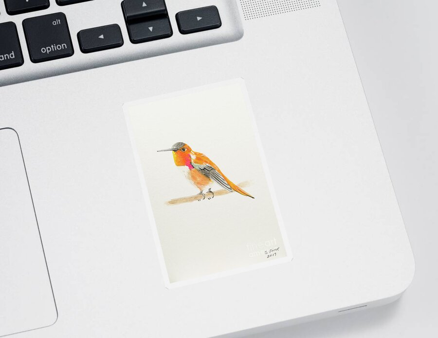 Rufous Hummingbird Sticker featuring the painting Rufous hummingbird by Stefanie Forck