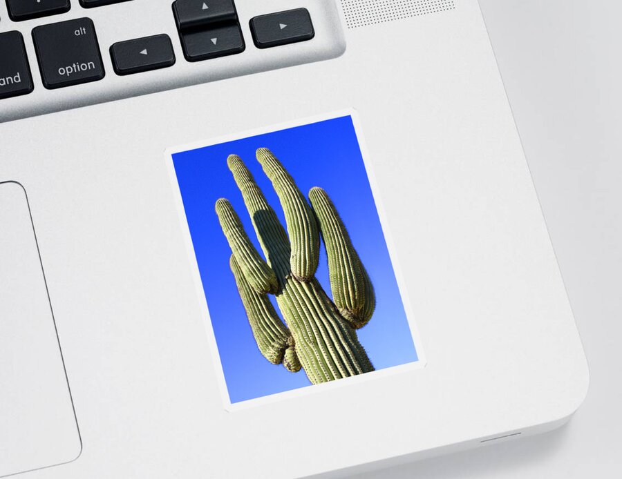 Desert Sticker featuring the photograph Saguaro Cactus - Arizona by Mike McGlothlen
