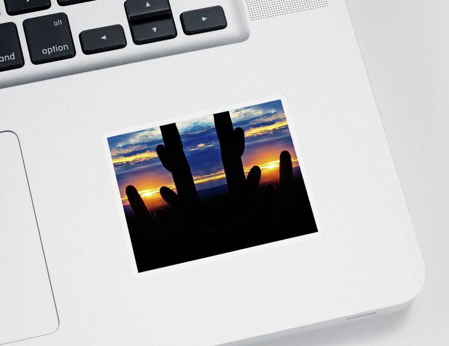 Saguaro National Park Sticker featuring the photograph Saguaro Sunset Mirror by Kyle Hanson