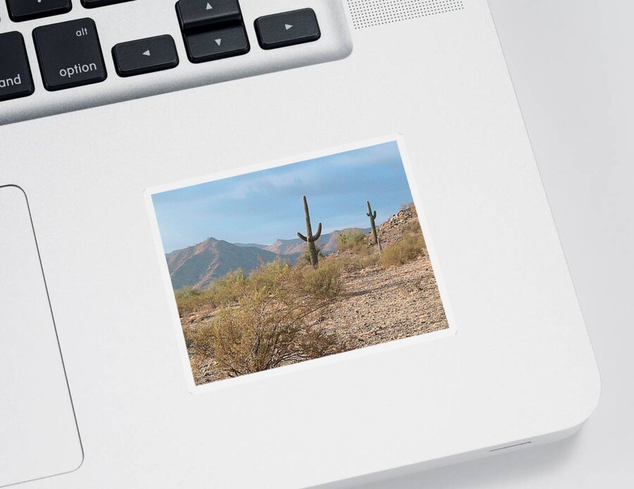 Arizona Sticker featuring the photograph Saguaros on a Hillside by Judy Kennedy