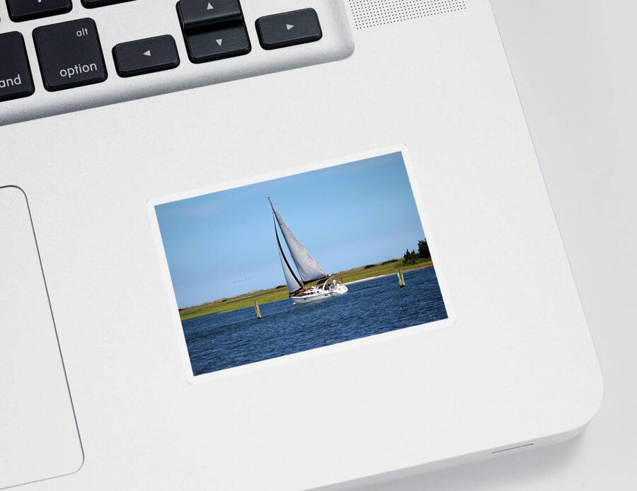 Boat Sticker featuring the photograph Sailing At Masonboro Island by Cynthia Guinn