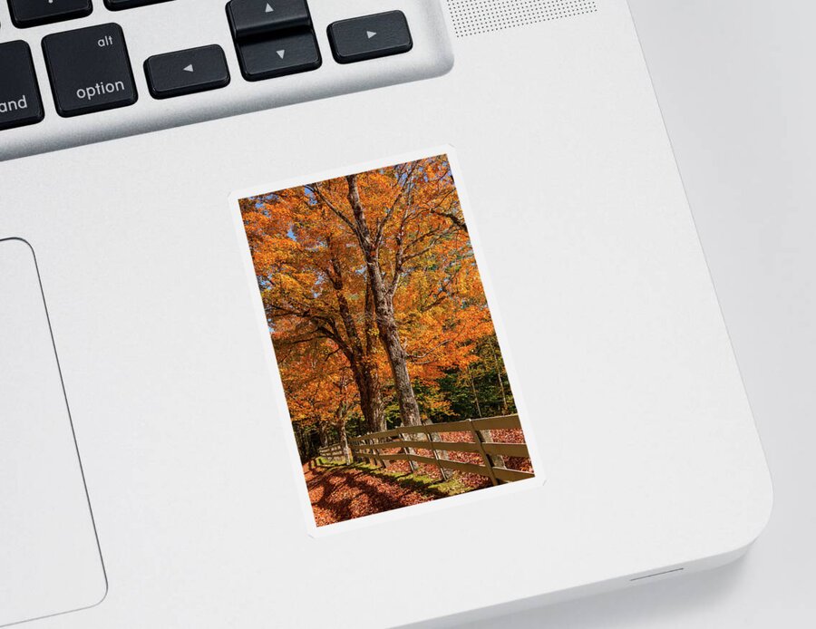 Sandwich Sticker featuring the photograph Sandwich Autumn by White Mountain Images