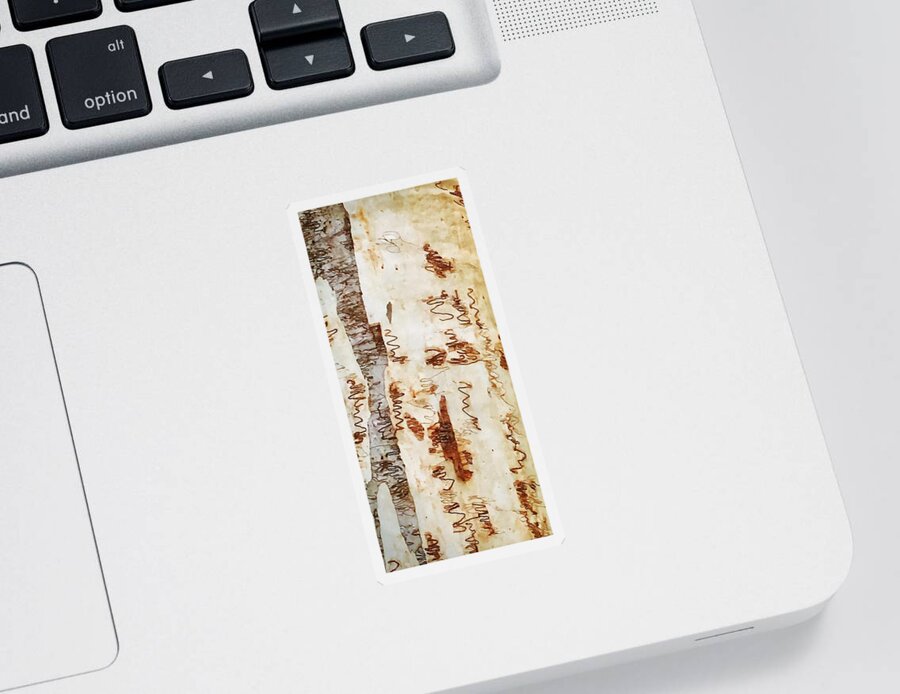 Tree Sticker featuring the photograph Scribbly Gum Tree by Sandy Taylor