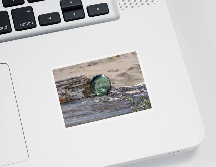 Denise Bruchman Sticker featuring the photograph Sea Baubles by Denise Bruchman
