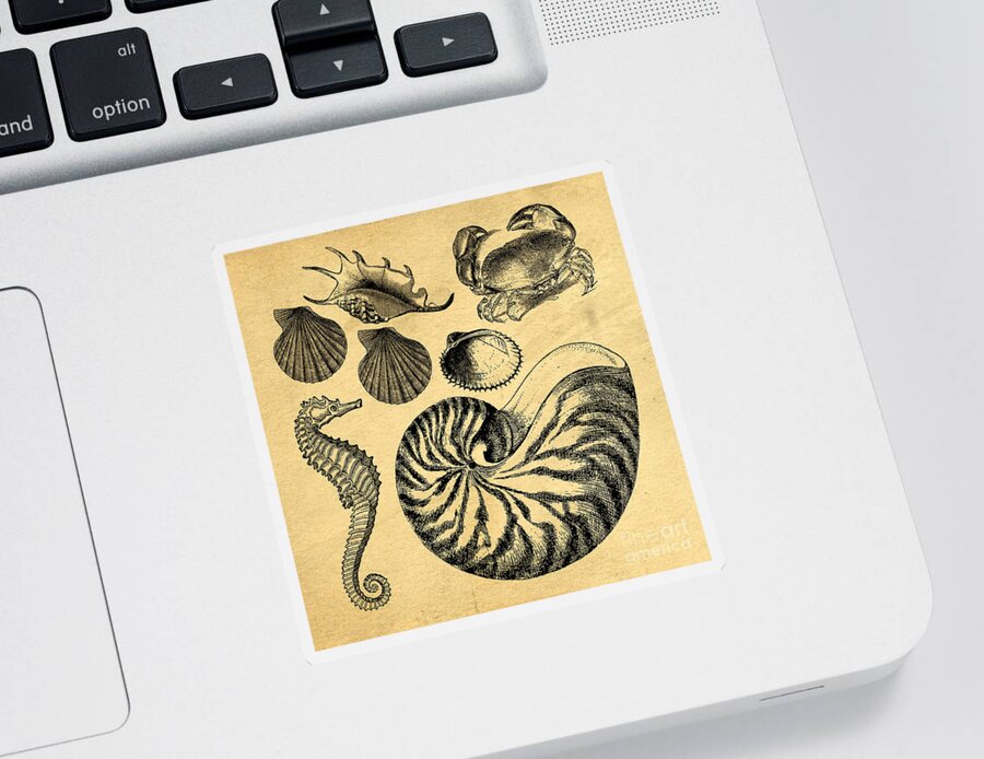 Beach Sticker featuring the drawing Sea Life Vintage Illustrations by Edward Fielding