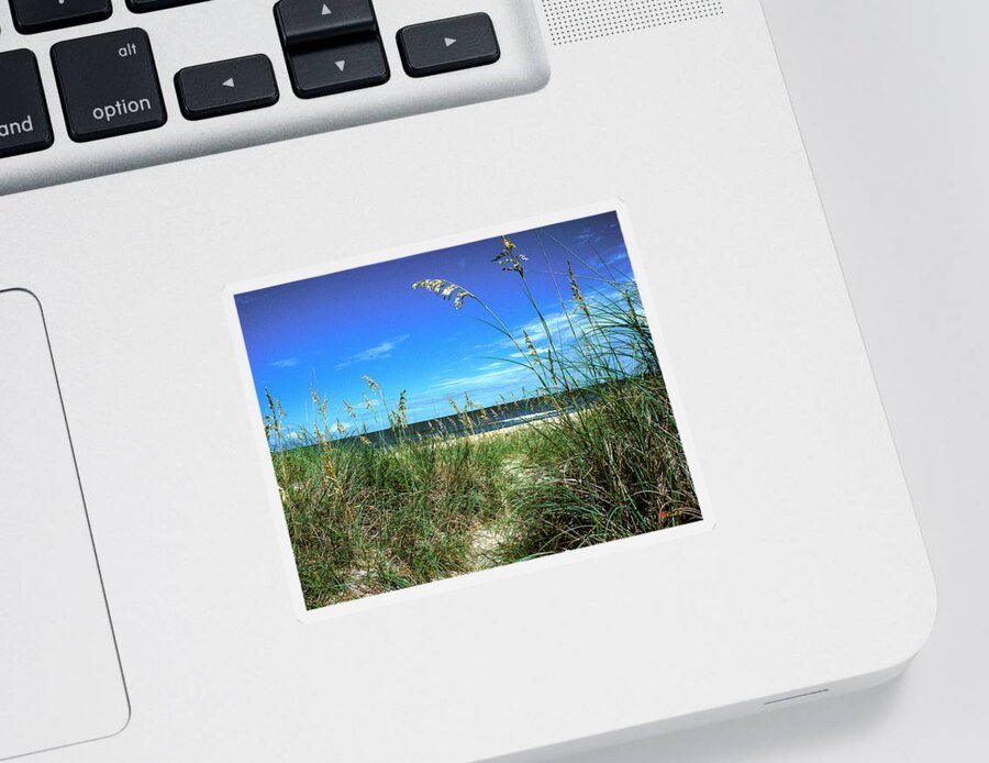 Ocean Sticker featuring the photograph Sea Oat Dunes 11D by Gerry Gantt