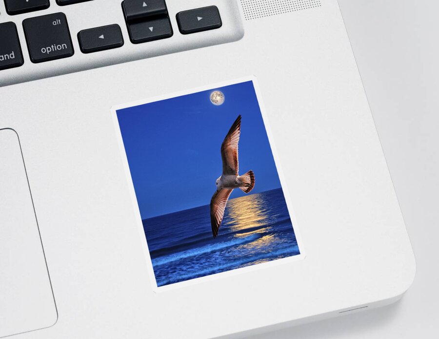 Seagull Sticker featuring the photograph Seagull in the moonlight by Peg Runyan