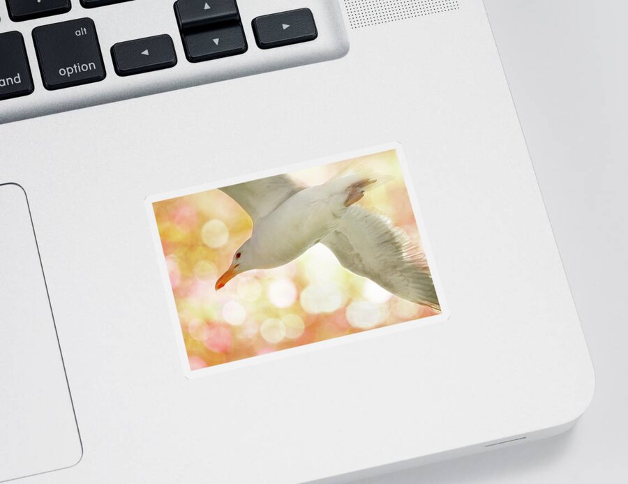 Seagull Sticker featuring the photograph Seagull on Pink and Yellow Sky by Peggy Collins