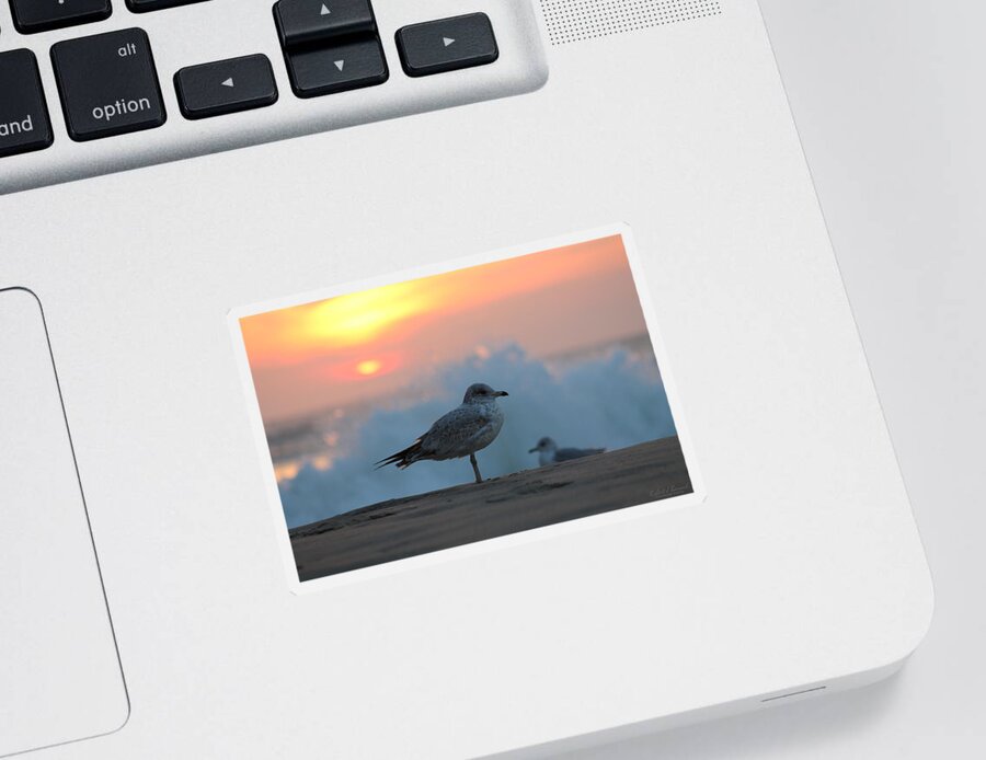 Sun Sticker featuring the photograph Seagull Seascape Sunrise by Robert Banach