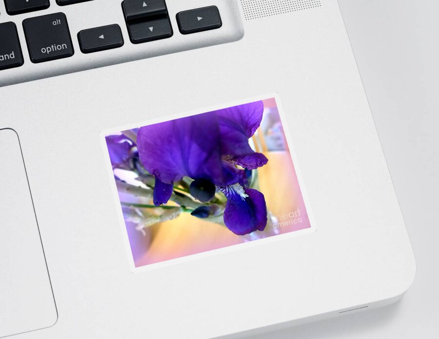 Iris Sticker featuring the photograph Sedona Wild Iris by Mars Besso