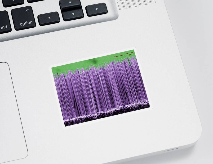 Science Sticker featuring the photograph Semiconductor Nanowires, Sem by Lorelle Mansfield/NIST