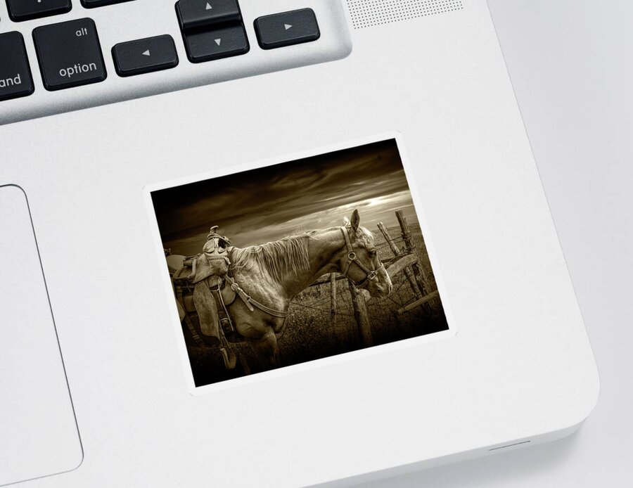 Saddle Sticker featuring the photograph Sepia Tone of Back at the Ranch Saddle Horse by Randall Nyhof