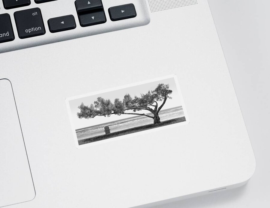 Shade Tree Sticker featuring the photograph Shade Tree bw by Mike McGlothlen