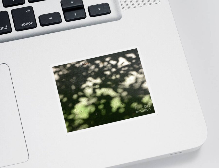 Natural Sticker featuring the photograph Shaded Patterns by Nora Boghossian