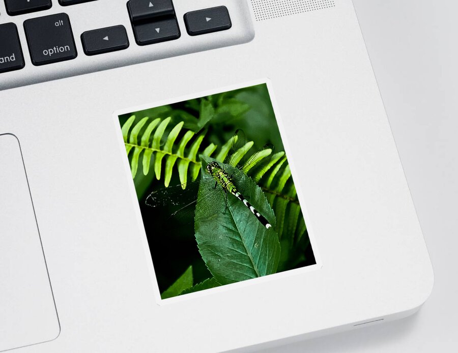 Dragonfly Sticker featuring the digital art Shades of Green by DigiArt Diaries by Vicky B Fuller