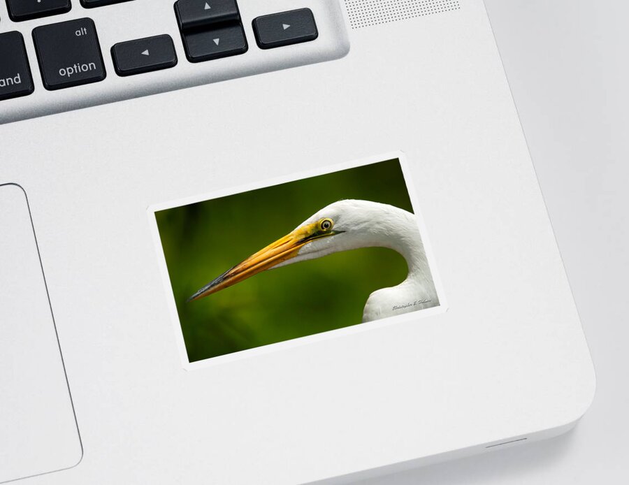 Egret Sticker featuring the photograph Sharp Curve by Christopher Holmes