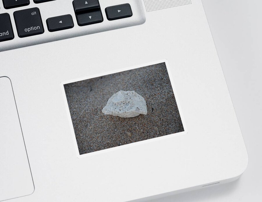 Shells Sticker featuring the photograph Shell And Sand by Rob Hans