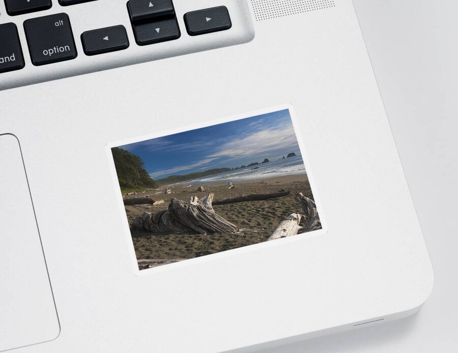 Landscape Sticker featuring the photograph Shi Shi Beach Driftwood Afternoon by Scott Cunningham