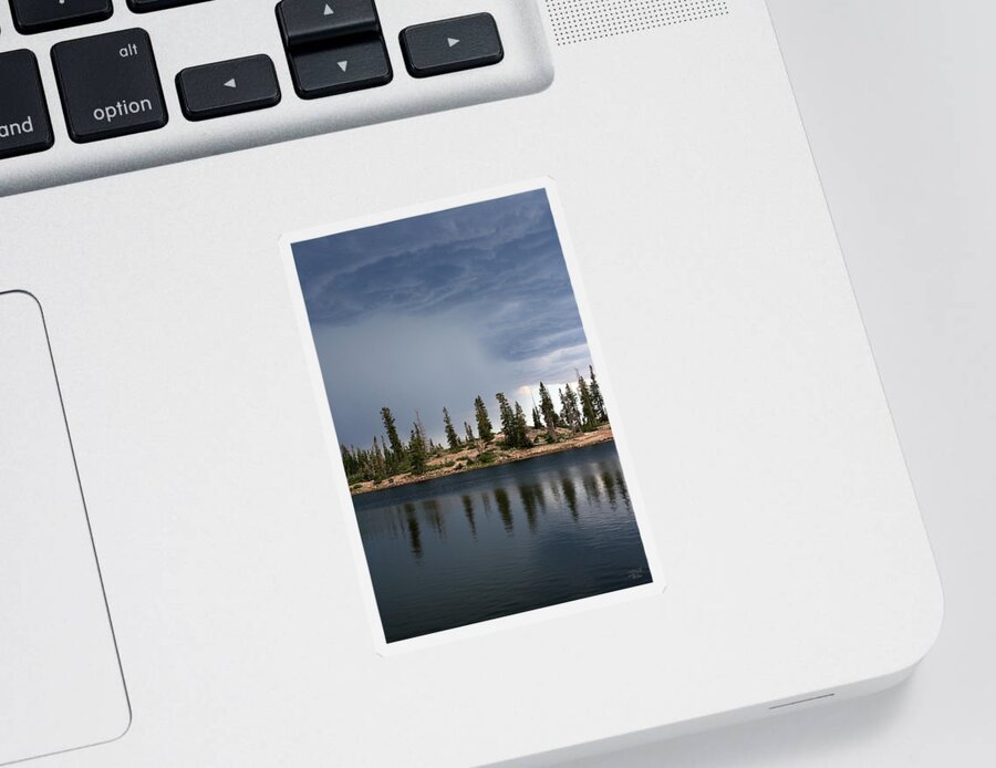 Landscape Sticker featuring the photograph Shoreline Pine Trees and Storm by Brett Pelletier