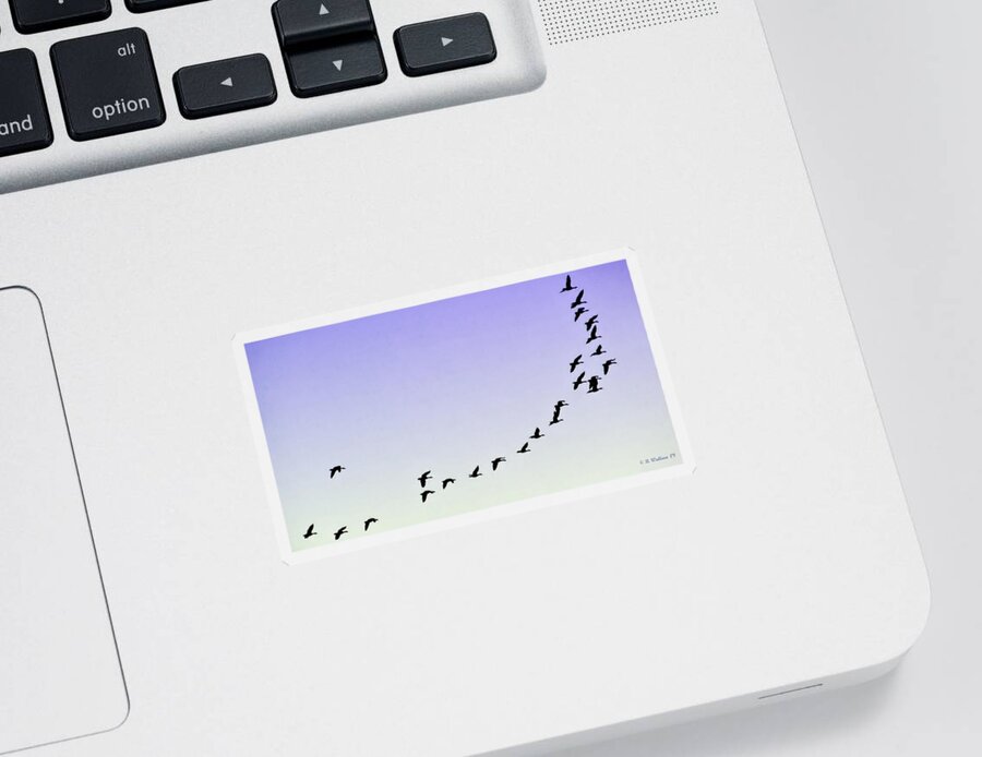 2d Sticker featuring the photograph Silhouetted Flight by Brian Wallace