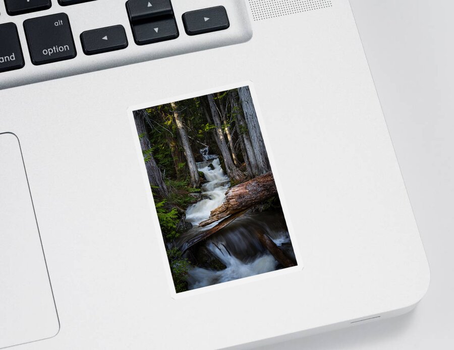 Waterfall Sticker featuring the photograph Silver Falls by Jason Roberts