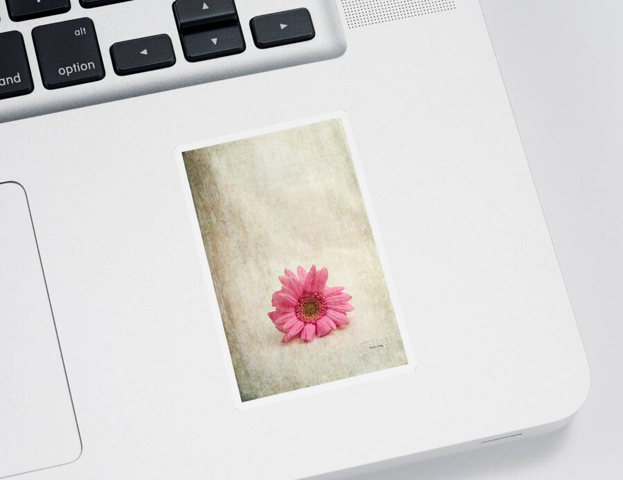 Textures Sticker featuring the photograph Single Pink by Randi Grace Nilsberg