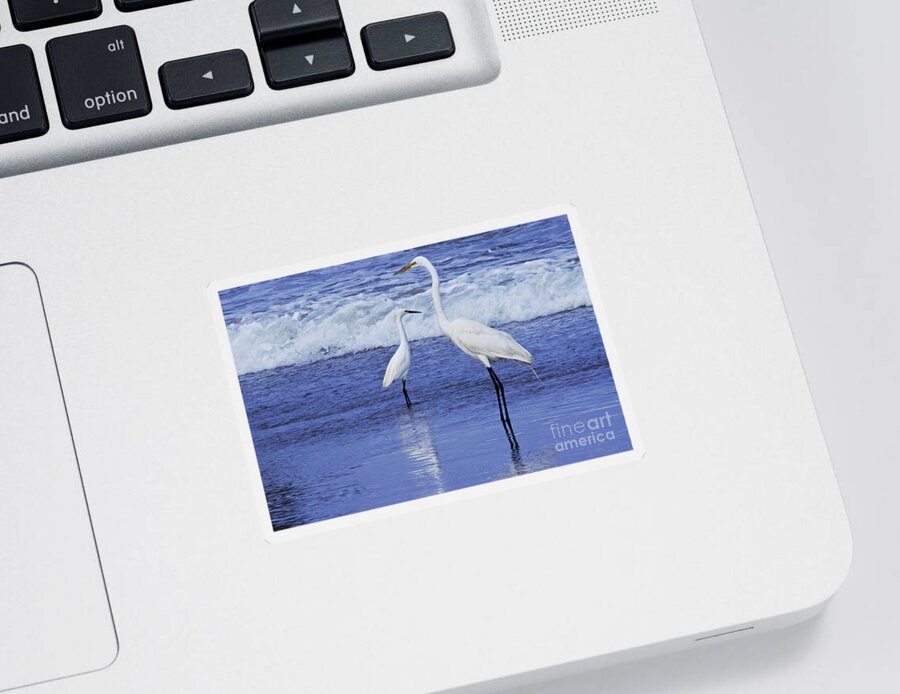 Great White Heron Sticker featuring the photograph Sizing Things Up by Debby Pueschel