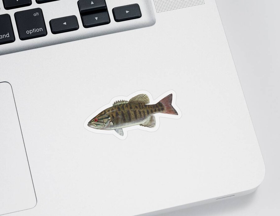 Smallmouth Bass Sticker featuring the mixed media Smallmouth Bass by Movie Poster Prints