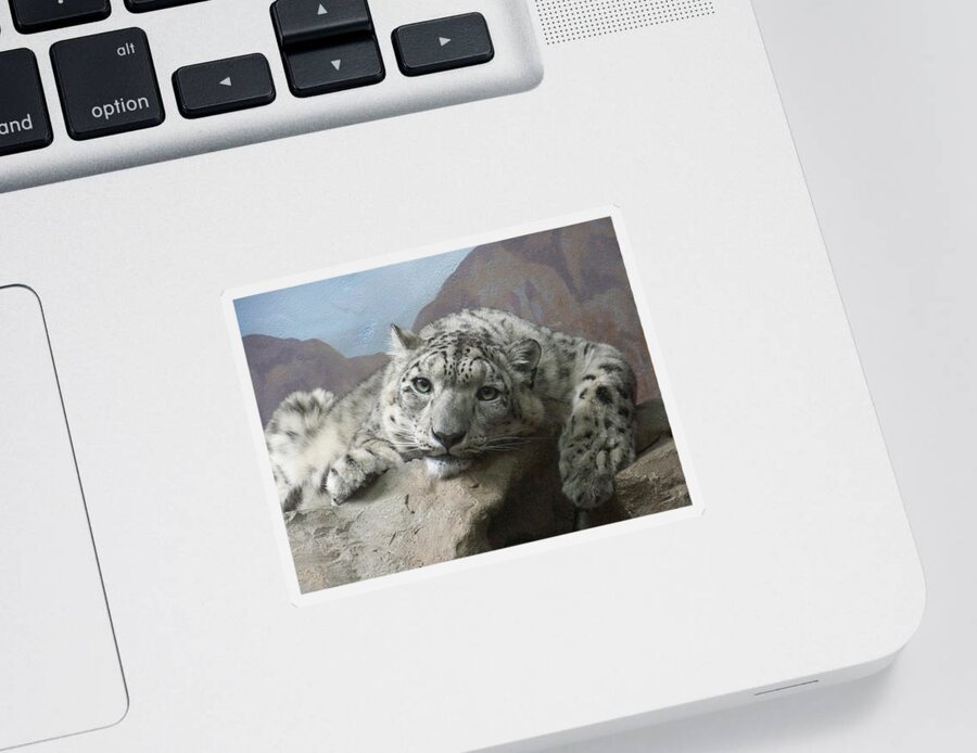 Snow Leopards Sticker featuring the photograph Snow Leopard Relaxing by Ernest Echols