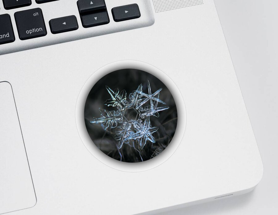 Snowflake Sticker featuring the photograph Snowflake of 19 March 2013 by Alexey Kljatov