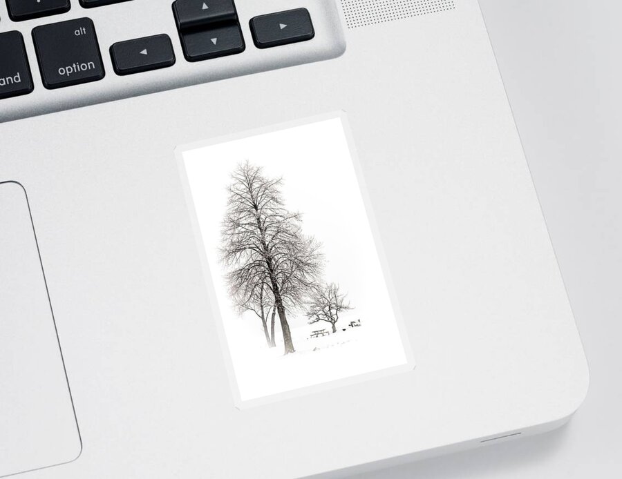 Cleveland Sticker featuring the photograph Snowy Trees by Stewart Helberg