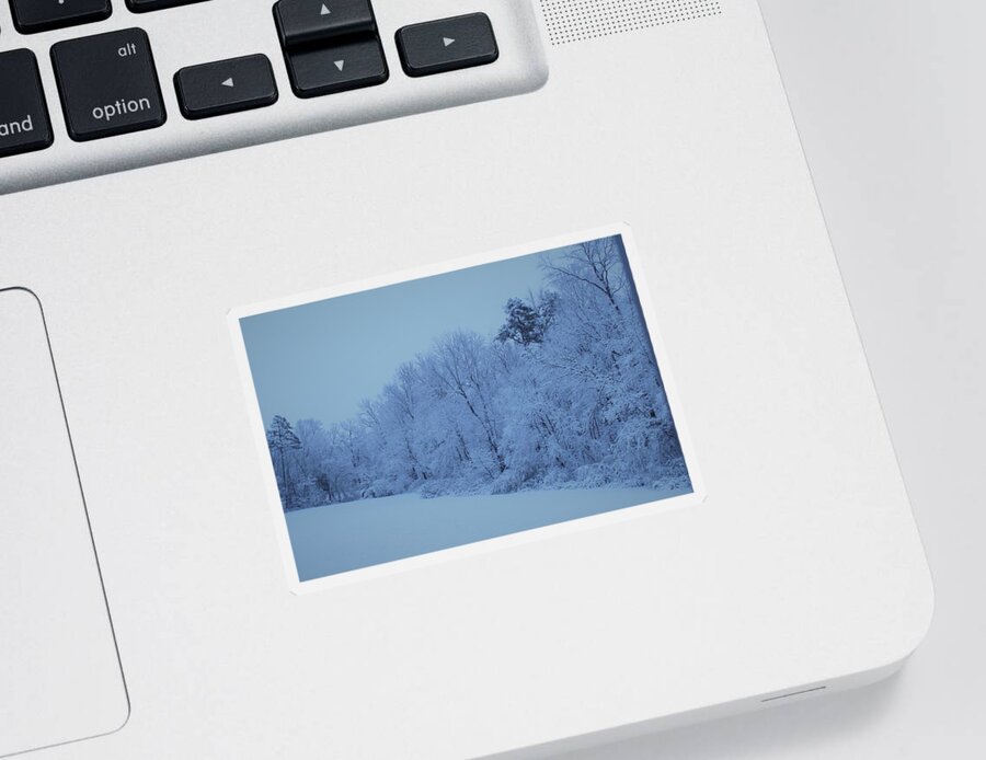 Snow Sticker featuring the photograph Snowy White Limbs with Arctic Filter by Ali Baucom