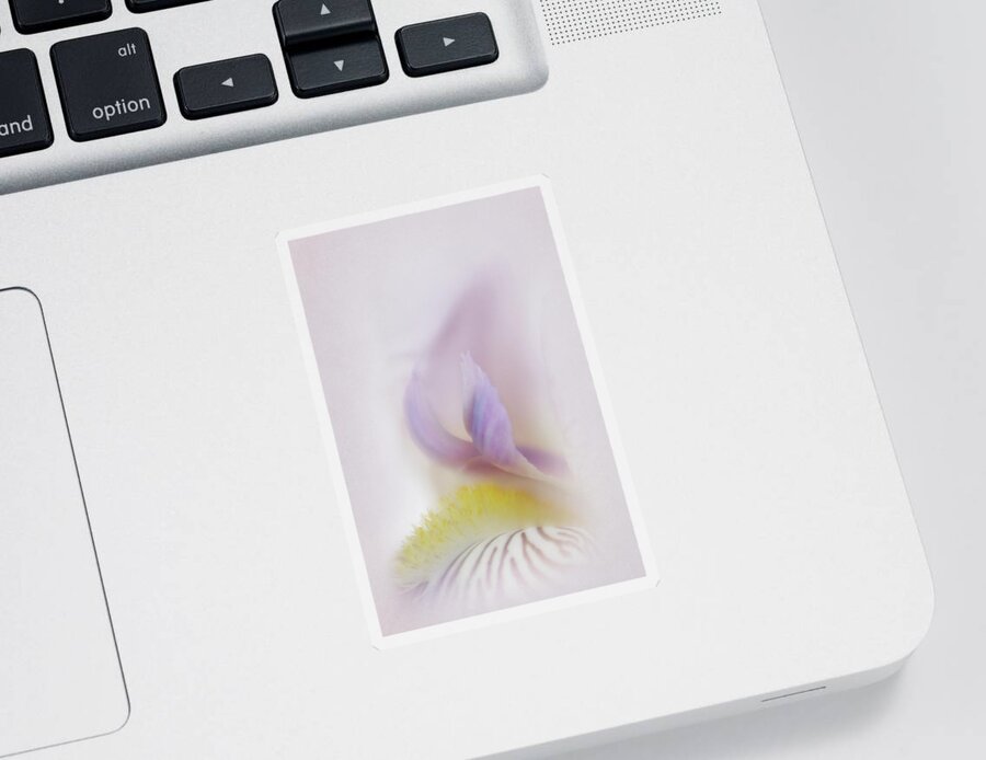 Bloom Sticker featuring the photograph Soft and Delicate Iris by David and Carol Kelly