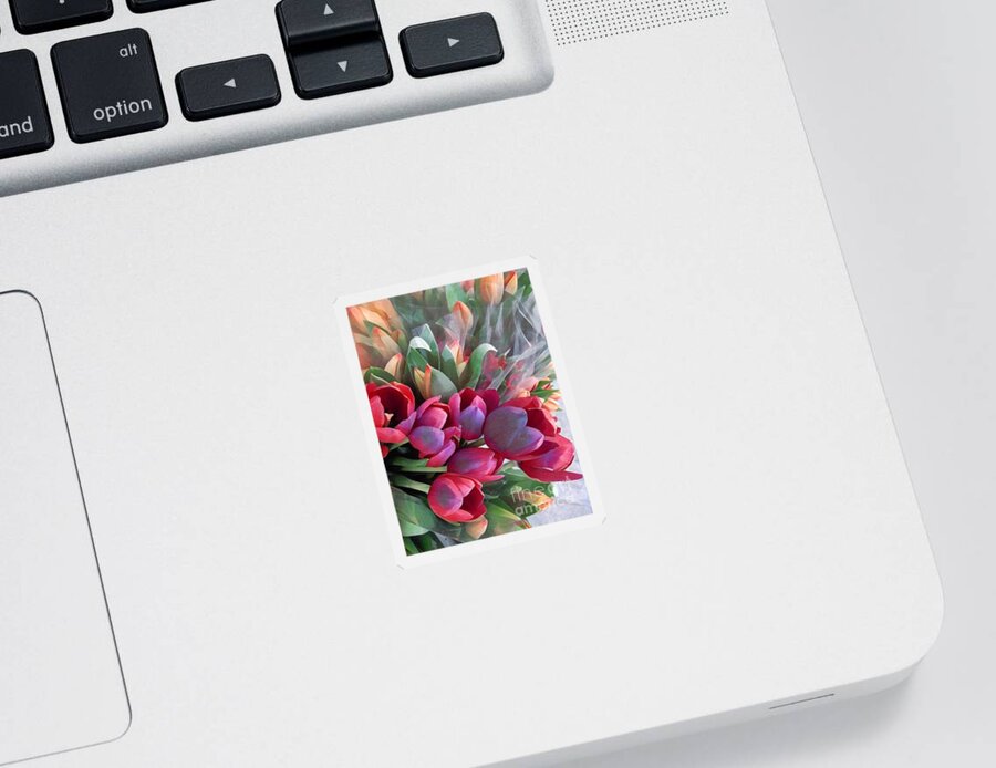 Card Sticker featuring the photograph Soft Reds of Spring - Tulips by Miriam Danar