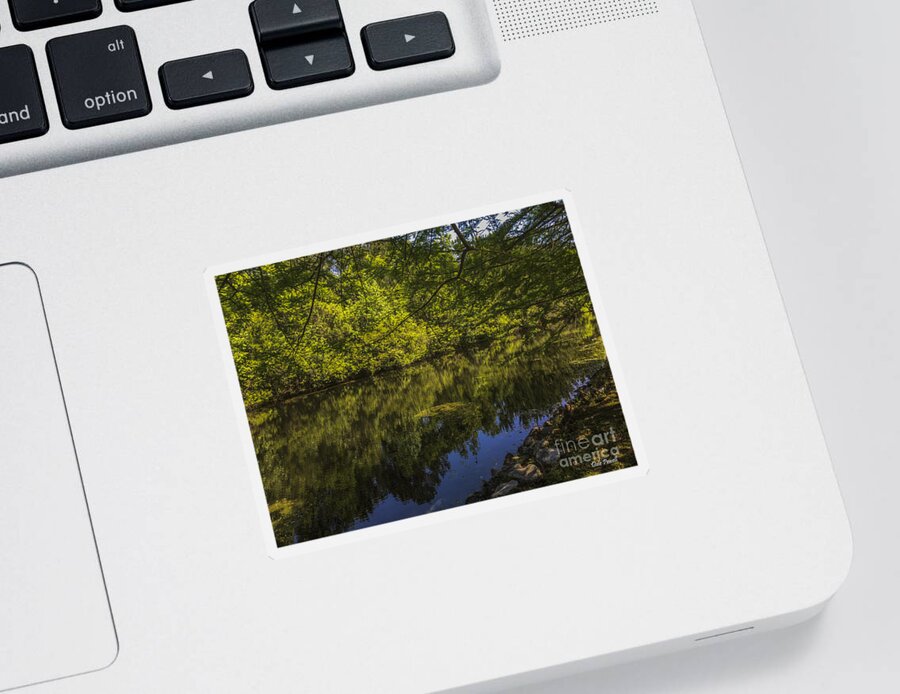 Pond Sticker featuring the photograph Southern Still Waters by Dale Powell