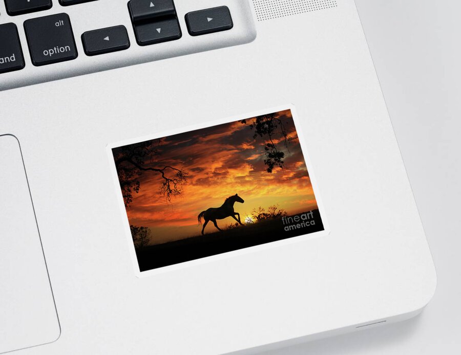 Horse Sticker featuring the photograph Southwestern Sunset by Stephanie Laird