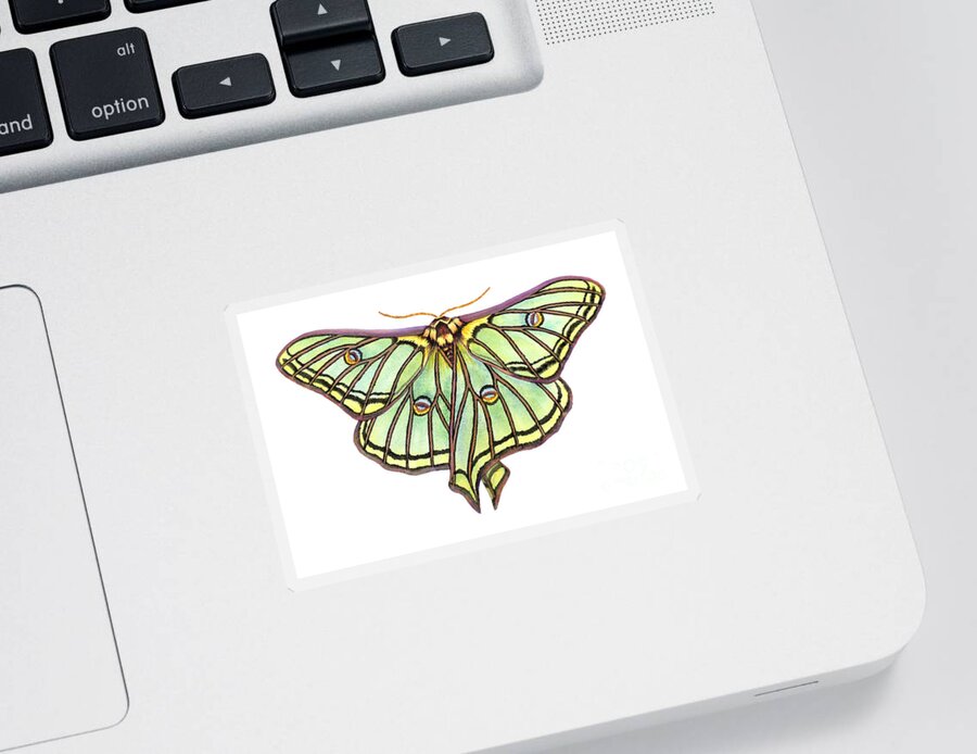 Spanish Moon Moth Sticker featuring the painting Spanish Moon Moth by Lucy Arnold