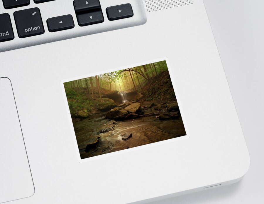 Forest Sticker featuring the photograph Spring at Blue Hen Falls by Rob Blair
