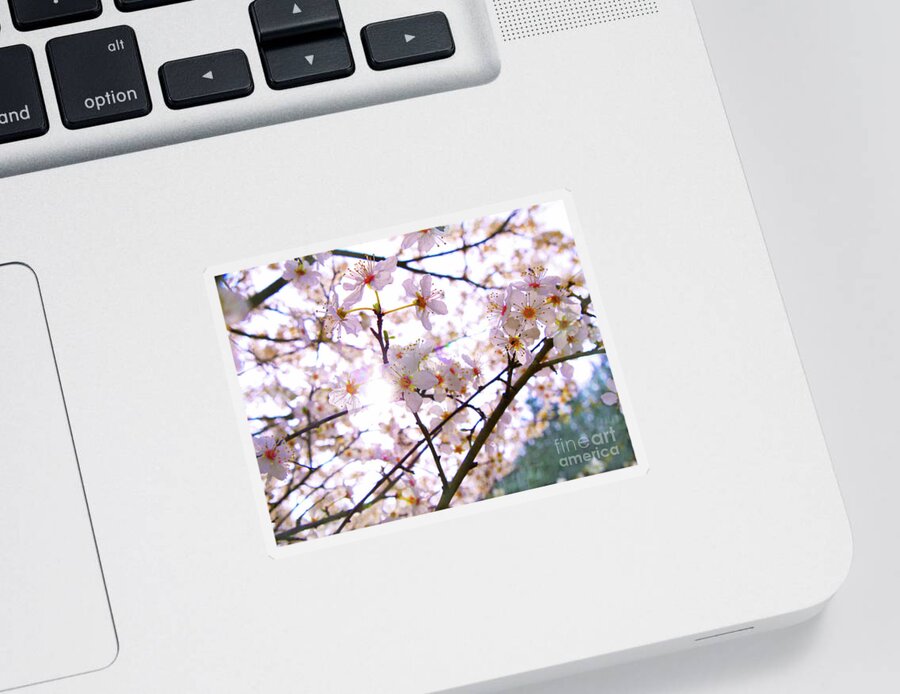 Blossom Sticker featuring the mixed media Spring Blossom by Helen White