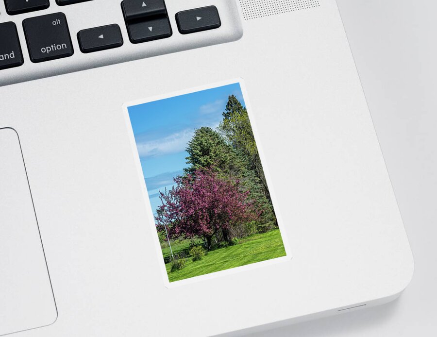 Spring Sticker featuring the photograph Spring Blossoms by Paul Freidlund