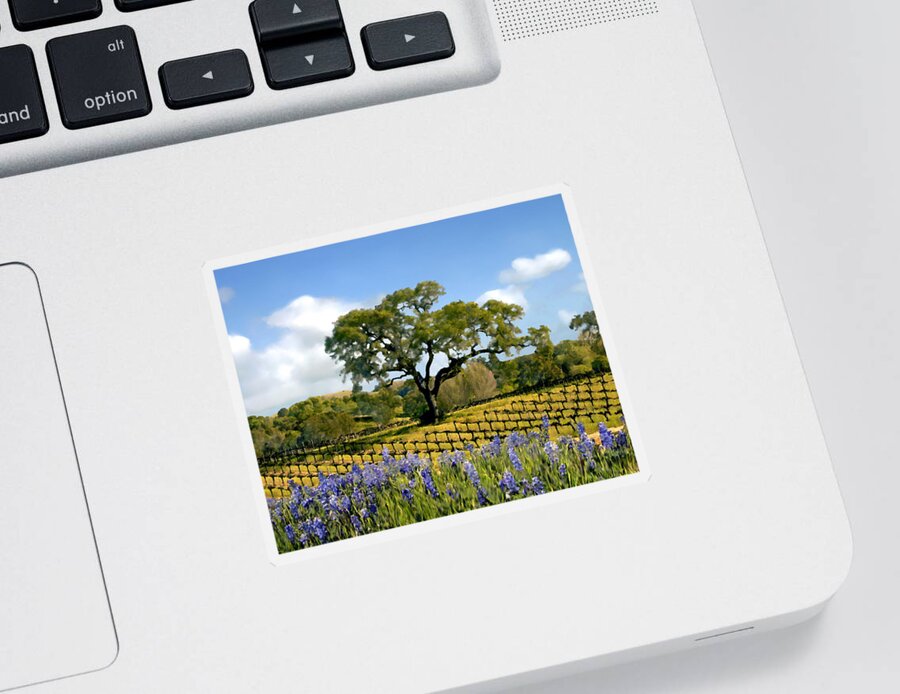 Vineyards Sticker featuring the photograph Spring in the vineyard by Kurt Van Wagner