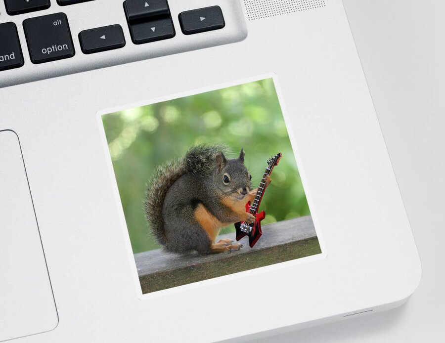Squirrels Sticker featuring the photograph Squirrel Playing Electric Guitar by Peggy Collins