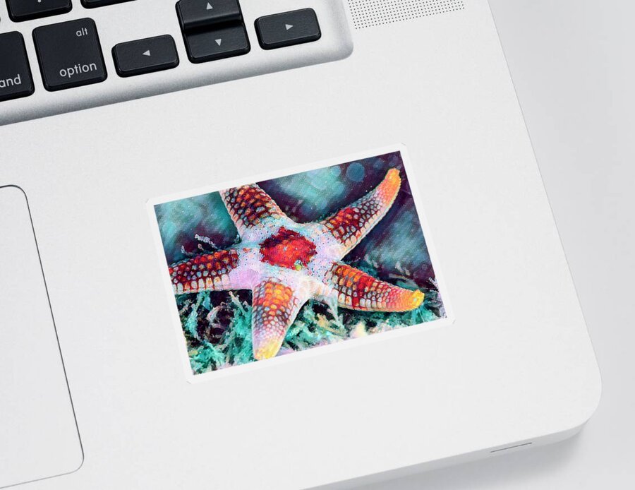 Florida Sticker featuring the photograph Starfish in Bright Colors by Debra and Dave Vanderlaan