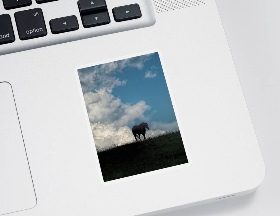 Horse Sticker featuring the photograph Storm Bringer by Alana Thrower