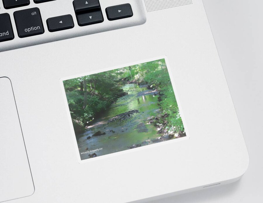 Landscapes Sticker featuring the photograph Streaming Summer Afternoon by Tami Quigley