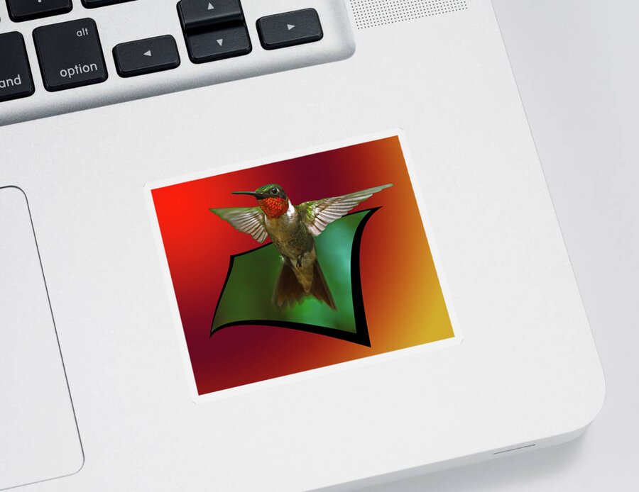 Ruby-throated Hummingbird Sticker featuring the photograph Stretching my wings by Robert L Jackson