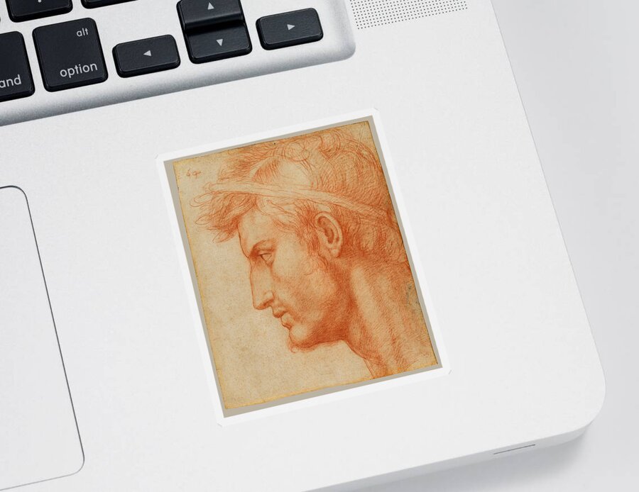 Andrea Del Sarto Sticker featuring the drawing Study for the Head of Julius Caesar by Andrea del Sarto