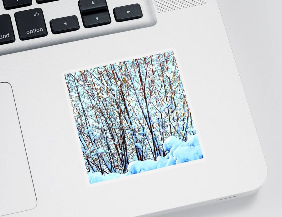 Winter Sticker featuring the photograph Subtle Blue Glow by Will Borden