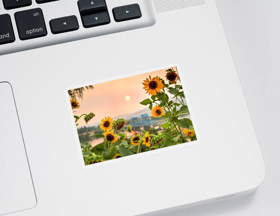 Sunflower Sticker featuring the photograph Sunflower Blue Bridge by Brad Stinson