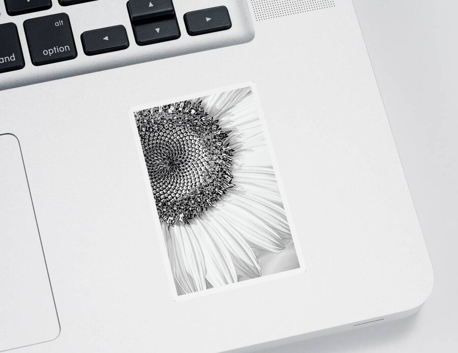 Sunflower Sticker featuring the photograph Sunflower Macro Black and White by Jennie Marie Schell